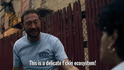 66c750d03cca8ff9b7831958 66c750ac8642e0d040372c90 delicate ecosystem